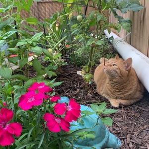 Meet your Posher, Tess